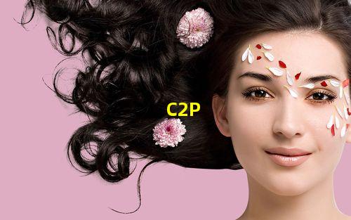 C2P气体